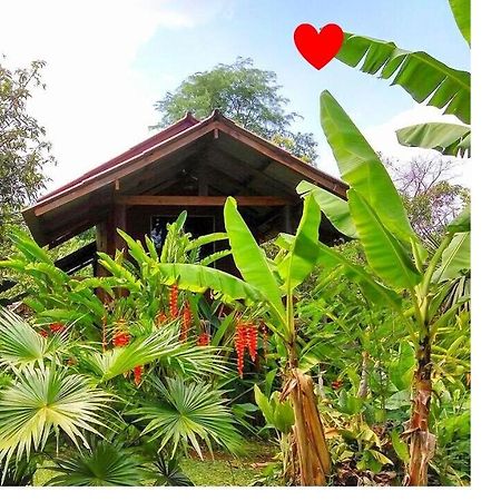Pencave Homestay Pang Mapha Buitenkant foto