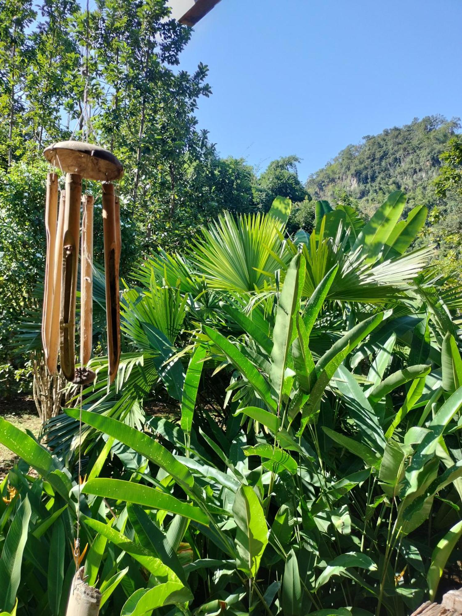 Pencave Homestay Pang Mapha Kamer foto